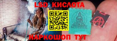 шишки Аргун
