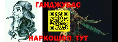 шишки Аргун