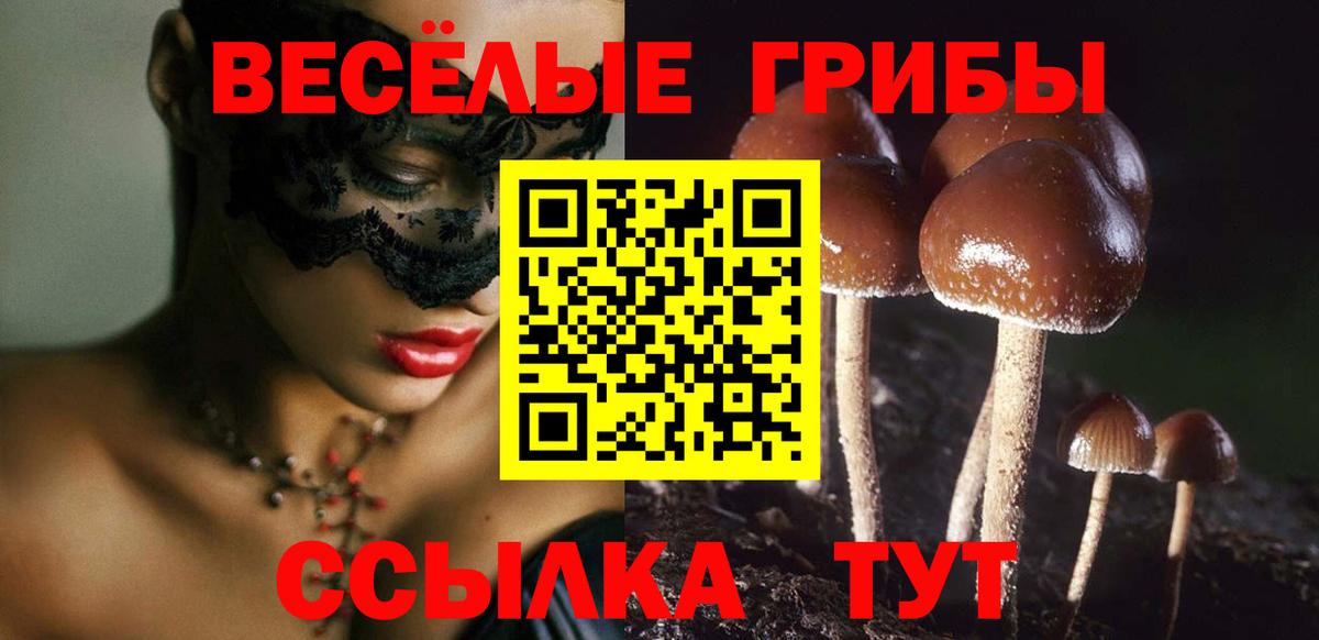 Борисоглебск  Псилоцибиновые грибы MAGIC MUSHROOMS  Вход с VPN 